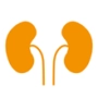 Urologie Frohnau