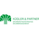 Baumpfleger / Baumkontrolleur (m/w/d) (Quereinsteiger mit Anhängerführerschein und handwerklichem Geschick) K & P Baummanagement GmbH Essen 45355